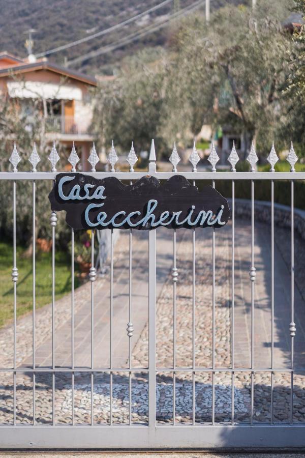 Ceccherini Rosa-viola *